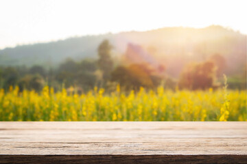 Empty wooden desk space platform and blurred field or farm background for product display montage.