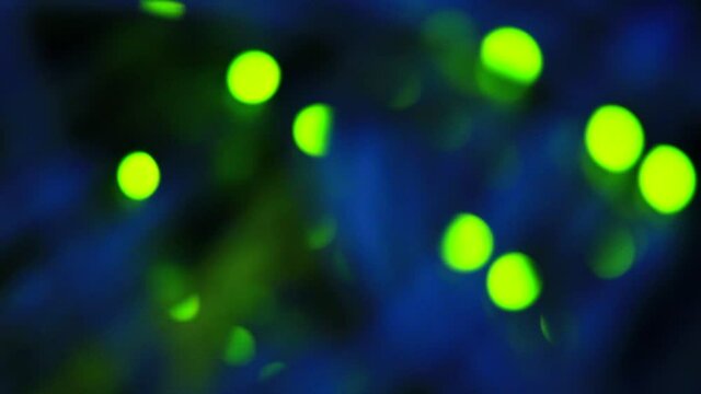 Working Ethernet switch close up. Blinking LED. 10/100/1000 Mpbs speed. Fully loaded and working fast. Top technology clip.