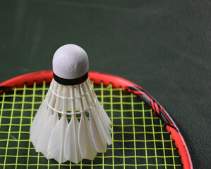 Badminton feather shuttlecocks on green badminton court.