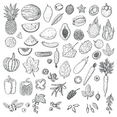 Fototapeta na wymiar Set of fruits, vegetables and berries. Isolated objects on white. Vector cartoon illustrations. Hand-drawn style.