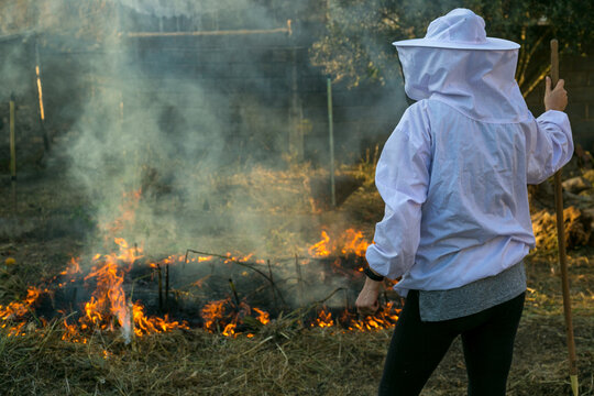 Apicultor controlando las llamas de fuego para hacer humo con las hierbas secas