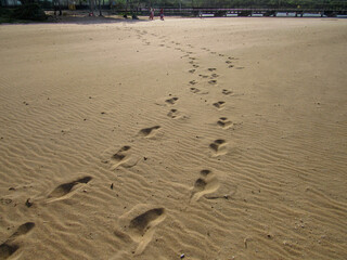 footprints in the sand