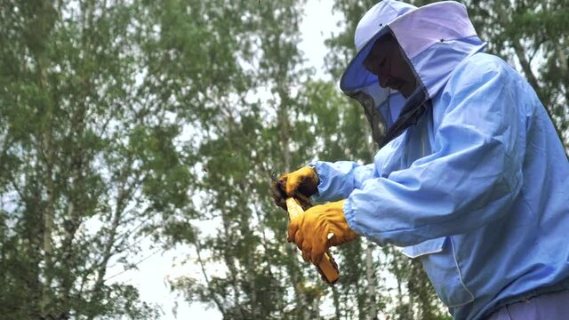 Bees fly. A man gets honey from an apiary in the summer.