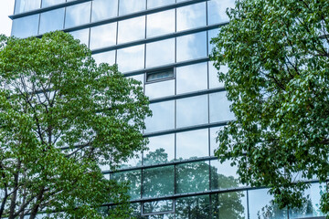 modern office building with green trees.