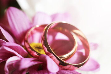Golden wedding rings on pink bridal bouquet. Close-up