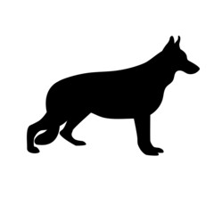 silhouette of a dog