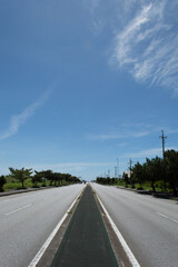 Fototapeta premium 街路樹が並ぶ直線の綺麗なアスファルトの道路