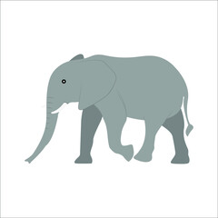 elephant vector illustration