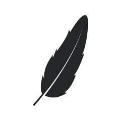 Feather silhouette vector design