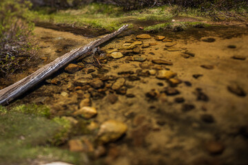 tilt shift of mountain river giving the appearance of a miniature scene
