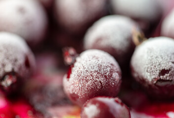 Frozen cranberries in the snow.