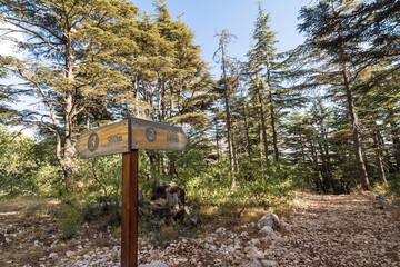 Hiking trail sign in Tannourine Cedars Forest Reserve, Lebanon