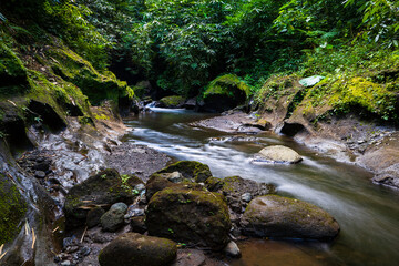 Tropical landscape. River with stones in rainforest. Soft focus. Slow shutter speed, motion photography. Nature background. Environment concept. Bangli, Bali, Indonesia