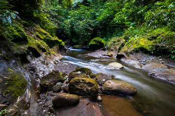 Fototapeta na wymiar Tropical landscape. River with stones in rainforest. Soft focus. Slow shutter speed, motion photography. Nature background. Environment concept. Bangli, Bali, Indonesia