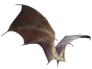 3D Rendered Devil Wings Isolated On White Background - 3D Illustration © diversepixel