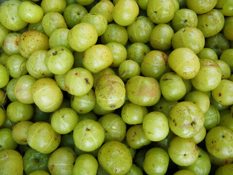 Phyllanthus emblica known as the Indian Gooseberry in English and Nelli in Sinhala is a small-to-medium-sized tree reaching 8 to 18 m in height, which naturally grows in the tropical Asian countries.