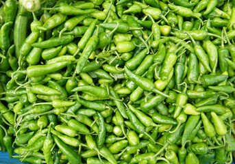 Green Chillies Pepper.
