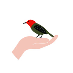 bird on h hand
