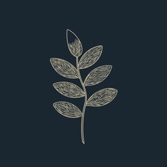 vector illustration of a leaf, Hand drawn leaves on a dark blue background, modern, digital art, decor 
