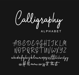 Handwritten calligraphy script font design. Vector illustration. - obrazy, fototapety, plakaty