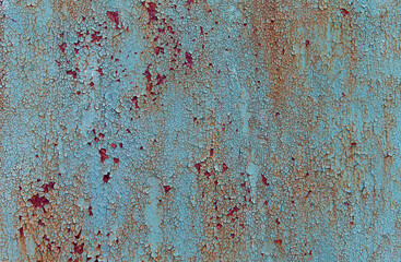 Blue cracked painted peeling textured aged rusty background.