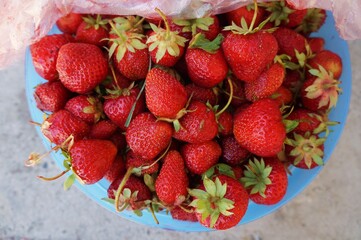 strawberries in a basket