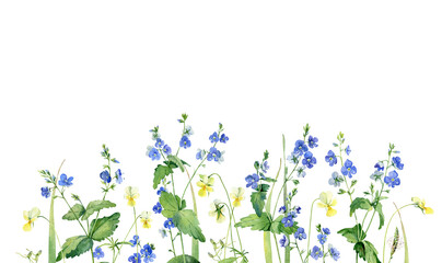 Background from watercolor wild flowers Veronica and violets