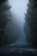 Obraz premium Foggy road