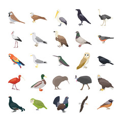 Birds Flat Vector Icons  - obrazy, fototapety, plakaty