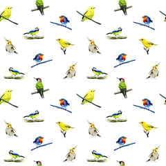 Watercolor seamless pattern of colorful birds on a white background.
