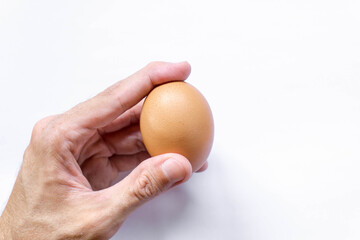 Man holding fresh chicken egg on white background