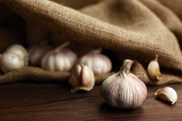 Fresh garlic cloves and garlic bulb on burlap on wooden table. Organic garlic
