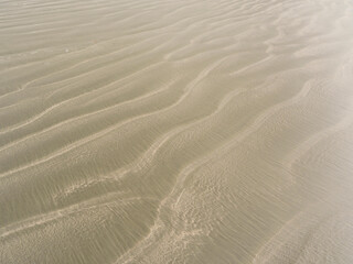 Texture of sand for Background