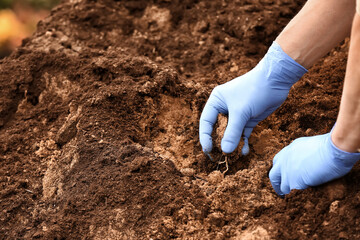 Man testing rich soil outdoors