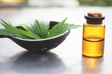 Cannabis cbd essential oil bottle and green leaves on gray flat lay background.
