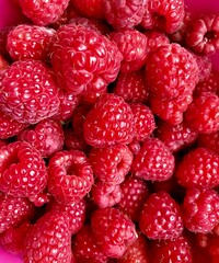 ripe raspberries as a background
