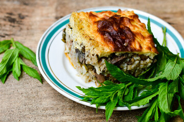  Potato shepherd's pie.  Potato and minced meat  Casserole  with   parmesan cheese and garlic on wooden rustic bakcgound. 