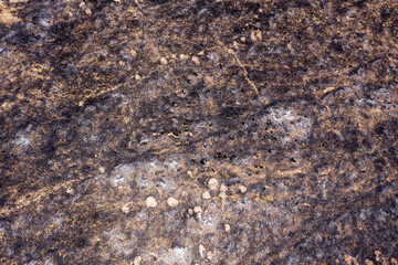 Post Forest fire scorched land and trail crossing, Aerial view.
