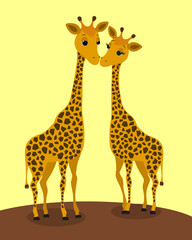 Two cute giraffes are happy because they are in love with each other. Isolated on yellow background