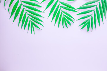 Flat layout with tropical leaves on white background. Round frame of leaves and leaves at the edges, copy space for text
