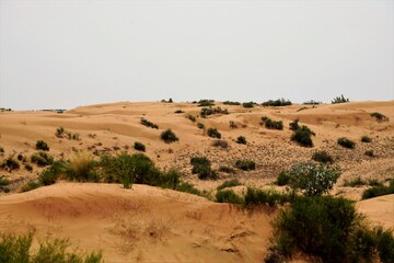landscape of the sandy desert hills