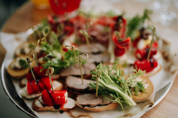 Fototapeta na wymiar Treats for guests, various delicious canapes, sandwiches close up. Conceptual photo of a banquet