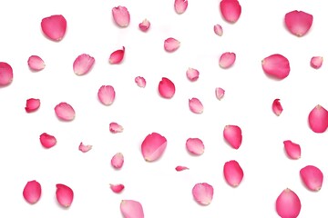 A group of sweet red rose corollas on white isolated background with copy space