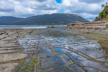 Tessellated Pavement in Tasmania, Australia