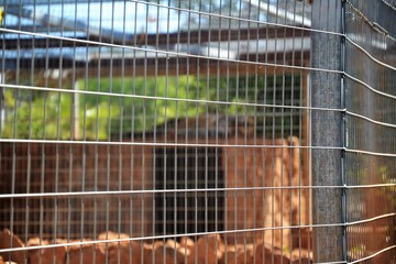 Fences are different, but they protect both sides