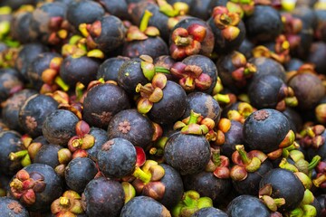 Close up pile of Mangosteen Fruits thai street food market