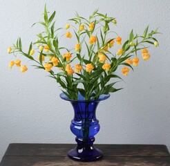 サンダーソニア