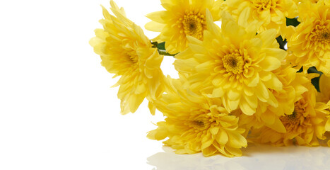 Chrysanthemums are colorful, easy to grow