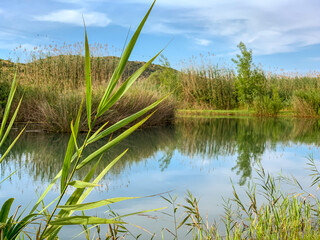 Fototapeta na wymiar Panoramic view of a river in La Marjal wetland nature park in Pego, Spain