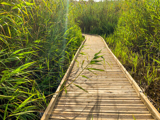 Obraz premium Panoramic view of a wooden path in La Marjal wetland nature park in Pego, Spain